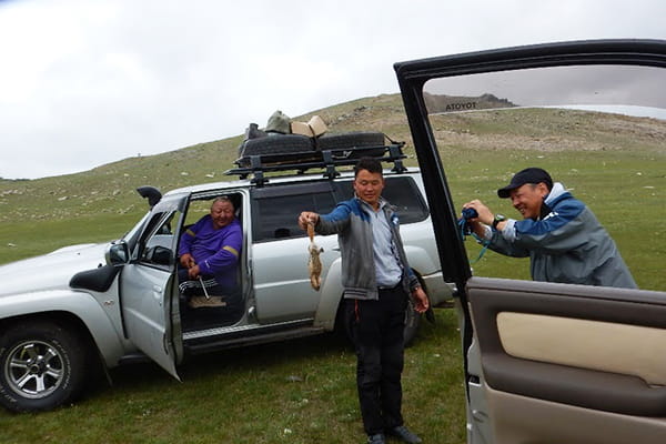 モンゴルでタイメン（アムールイトウ）を釣るための餌となるタルバガン