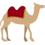 アクティビティ