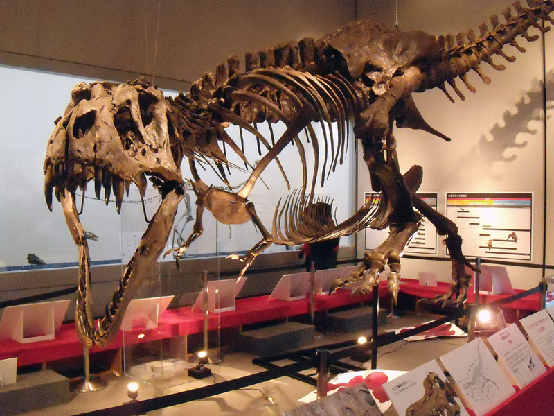 モンゴル恐竜中央博物館
