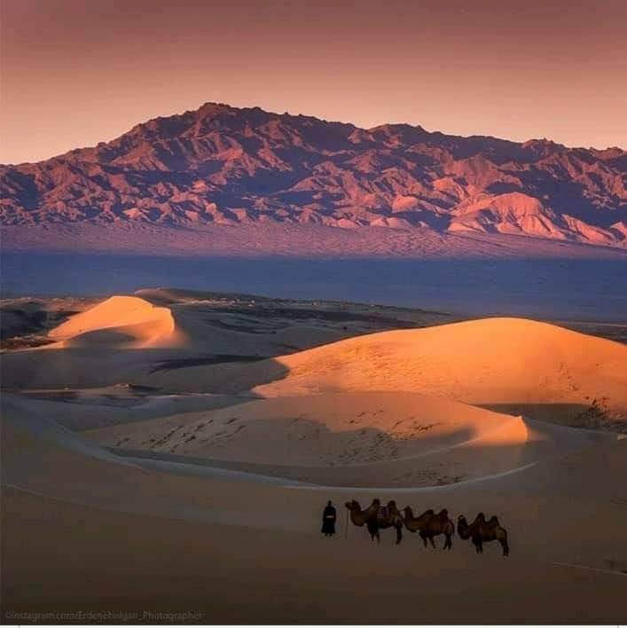 ホンゴル砂丘