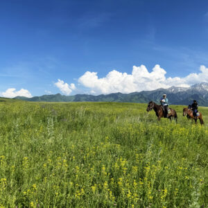 カザフスタンの山と乗馬