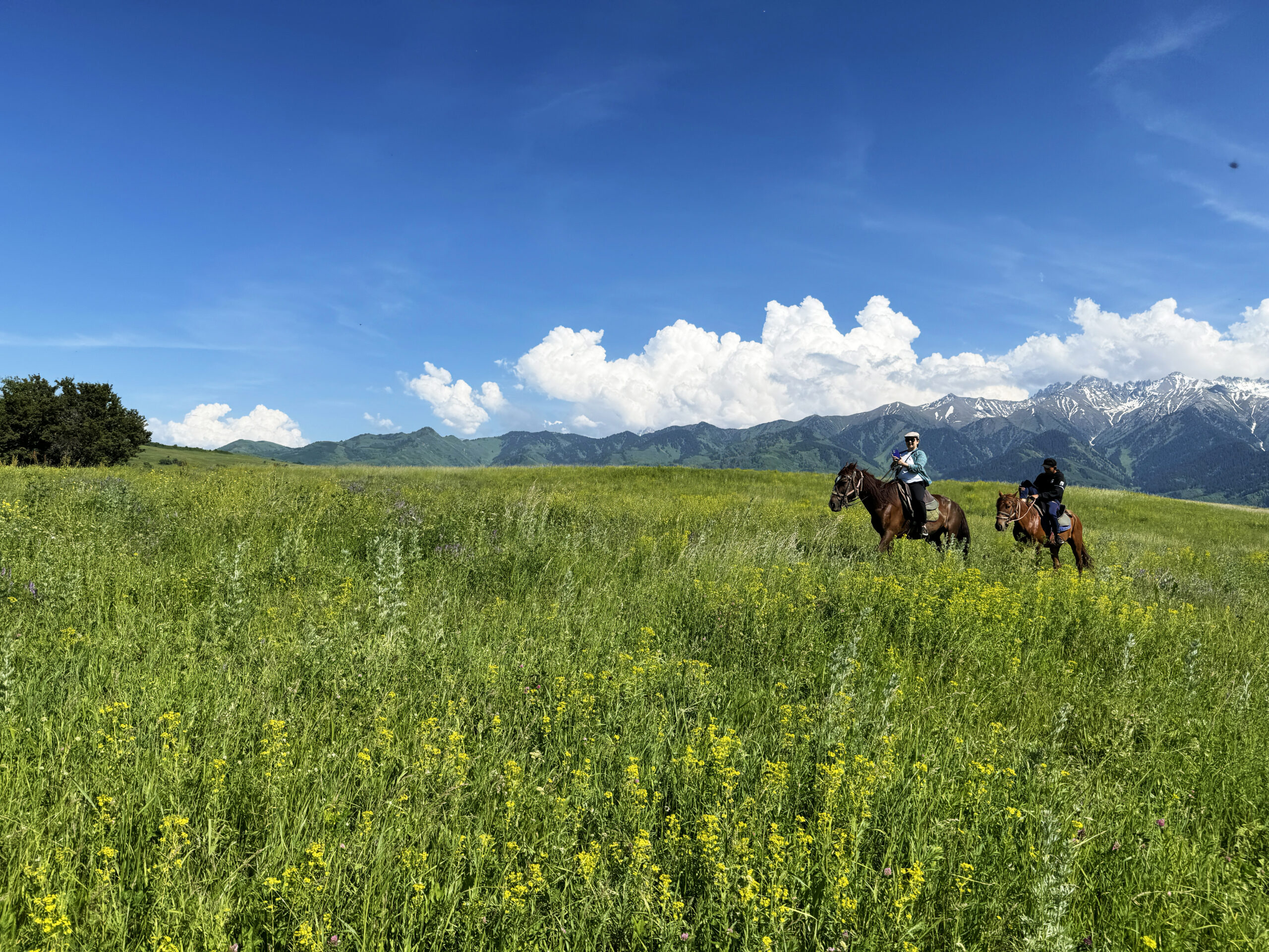カザフスタンの山と乗馬