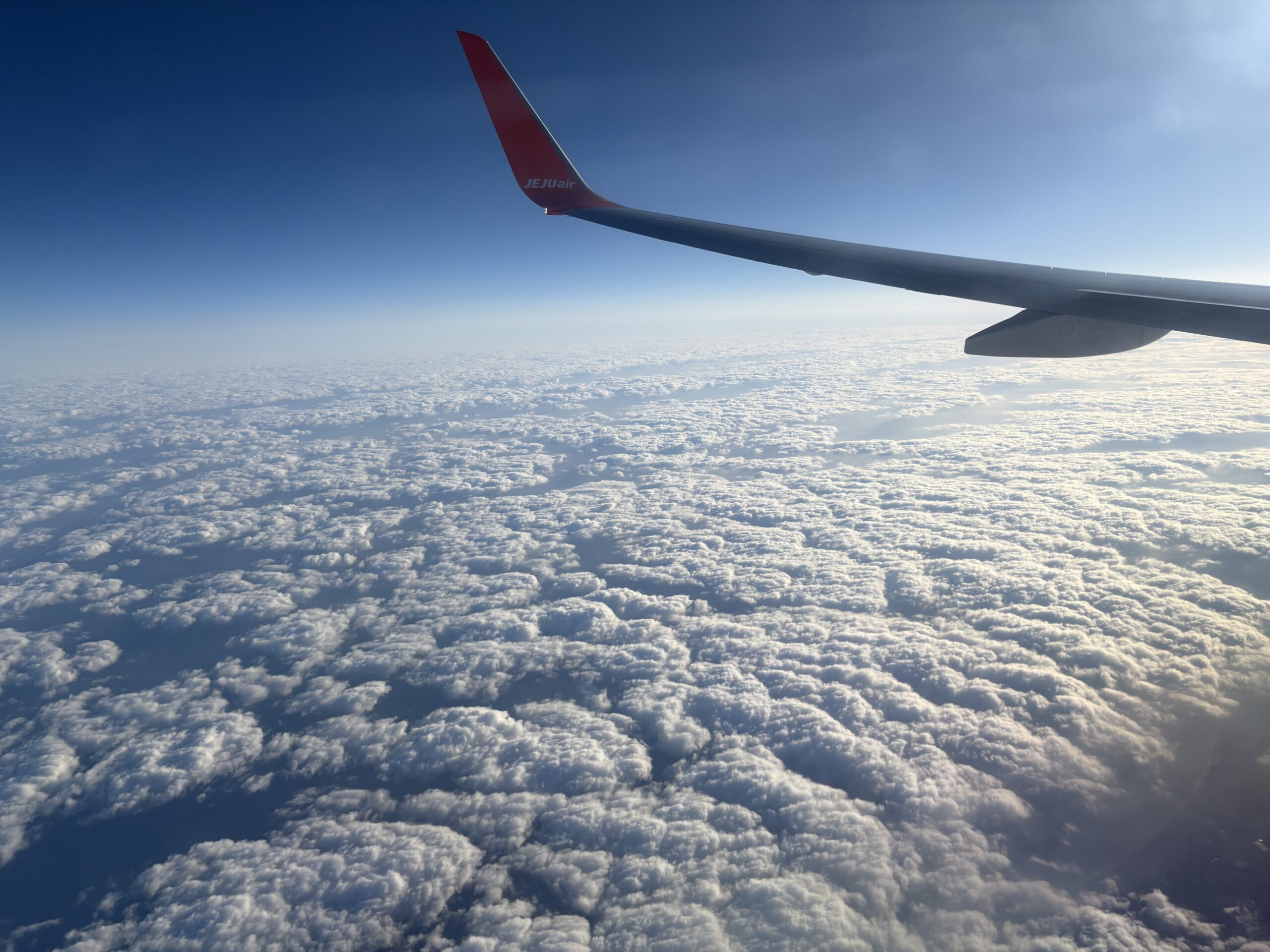 ユナイテッド航空で成田からモンゴルに直行便で行けます！