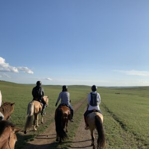 乗馬
