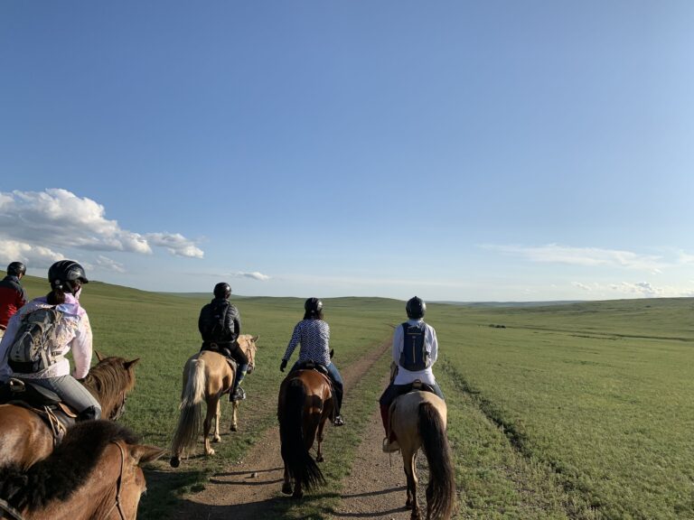 モンゴル乗馬ツアーで保険は必要？落馬や通院に備える海外旅行保険の選び方