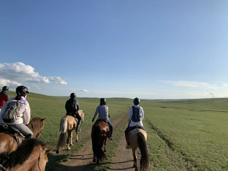 モンゴル乗馬ツアーで保険は必要？落馬や通院に備える海外旅行保険の選び方