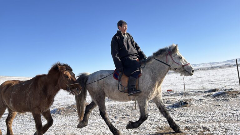 モンゴル文化の魅力を探る！魅力あふれる歴史と伝統