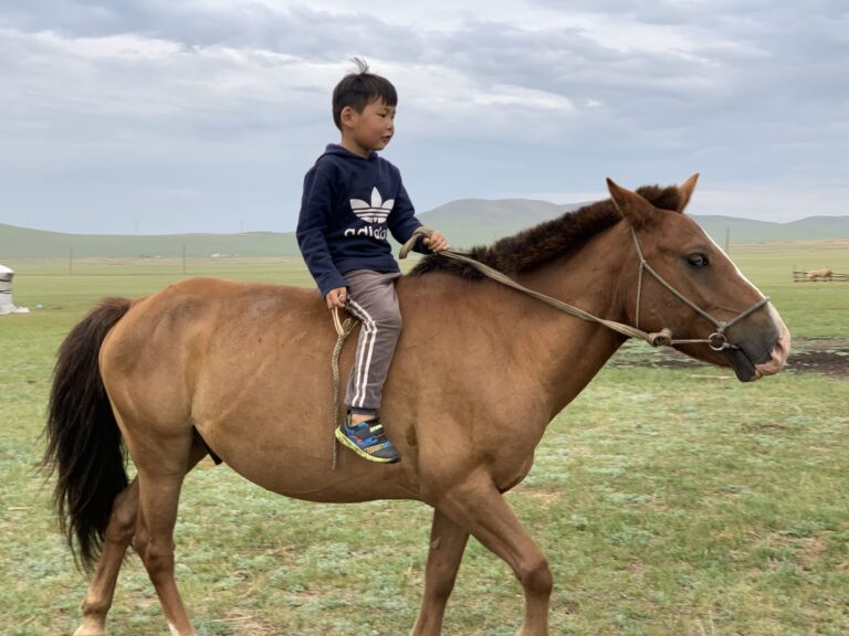 モンゴルの遊牧民カレンダー：季節と暮らしを導く暦