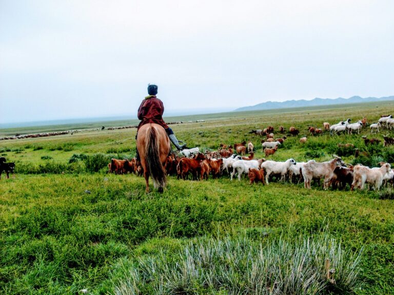 モンゴル遊牧民の暮らしの単位：自然と身体で世界を測る