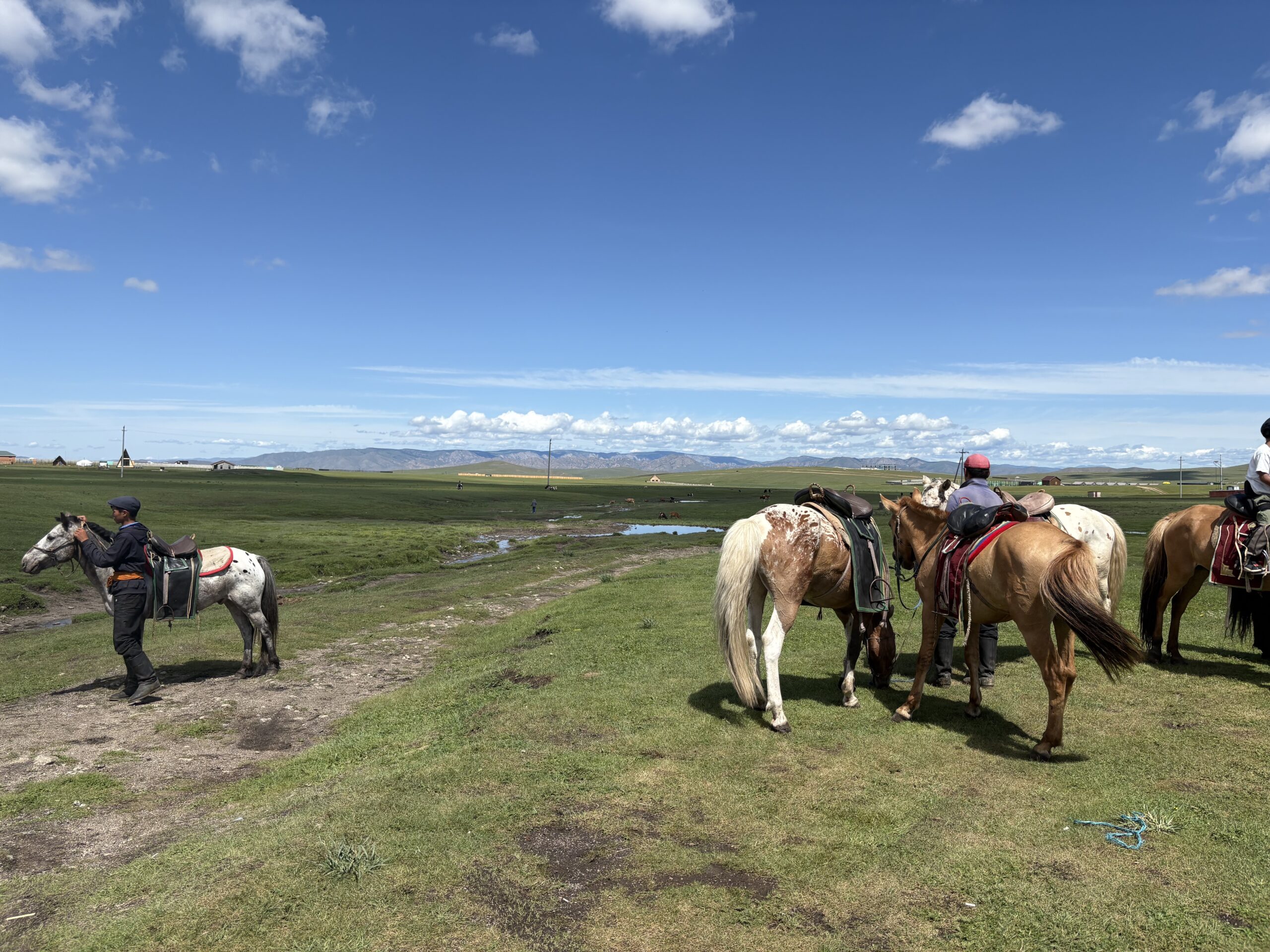 【モンゴル最新情報】観光客数が75万人超え｜2025年1月～10月最新速報