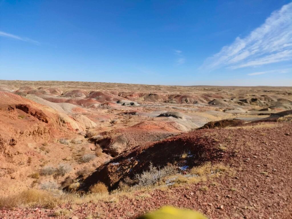 このどこかに恐竜の骨があります