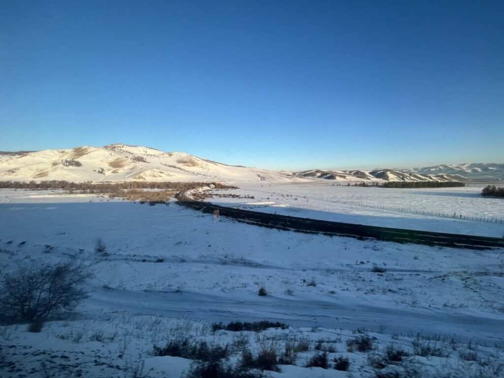 動画しか撮らなかったので、別の写真です