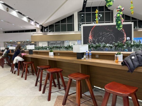 チンギスハーン国際空港の過ごし方【保安検査前エリア編】Wi-Fi・コンセント・飲食店を現地スタッフが解説