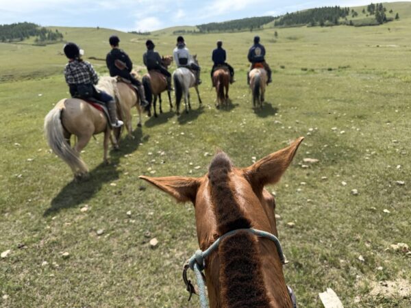 乗馬に資格は必要？初心者がモンゴル乗馬を楽しむために大切なこと