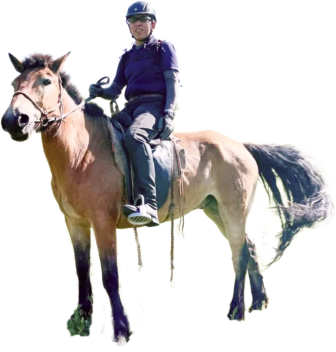 A rider on a compact Mongolian horse