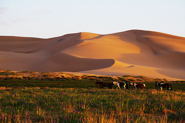 ホンゴル砂丘