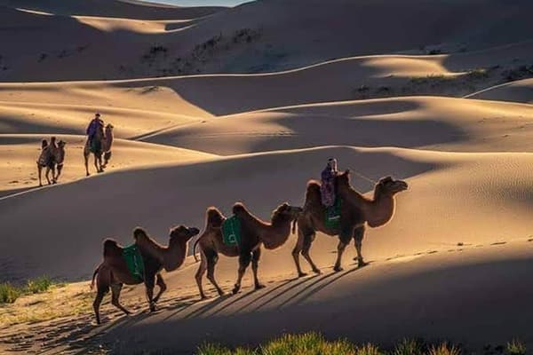 ホンゴル砂丘とラクダ