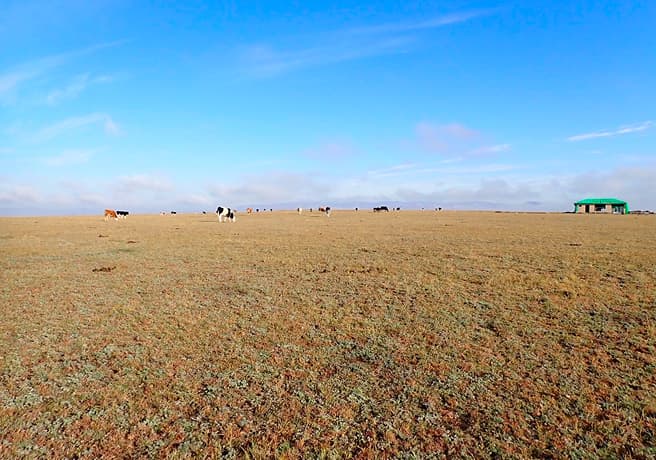 青空と草原の写真