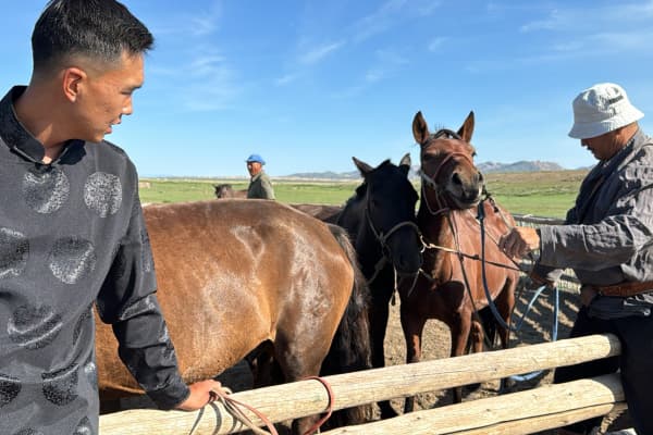【モンゴル乗馬の安全管理】事故を防ぐ鍵は「馬選び」にあり。ツォクトが考える「本当にいい馬」とは？