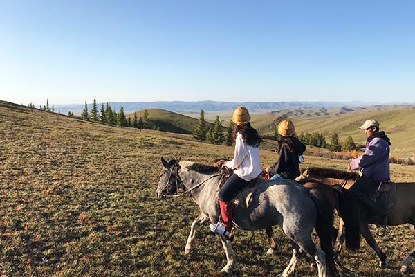 テント泊乗馬トレッキングで行く、大草原で星空満喫ツアー４日〜６日間（テント泊） | ツォクトモンゴル乗馬ツアー