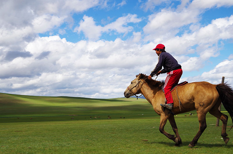 モンゴ五の後のの大草原を乗馬で走る