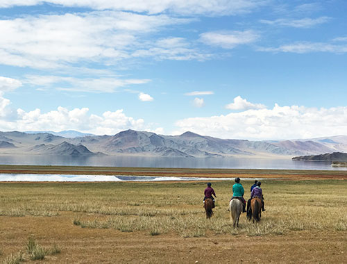 モンゴル全土で乗馬ツアーが可能