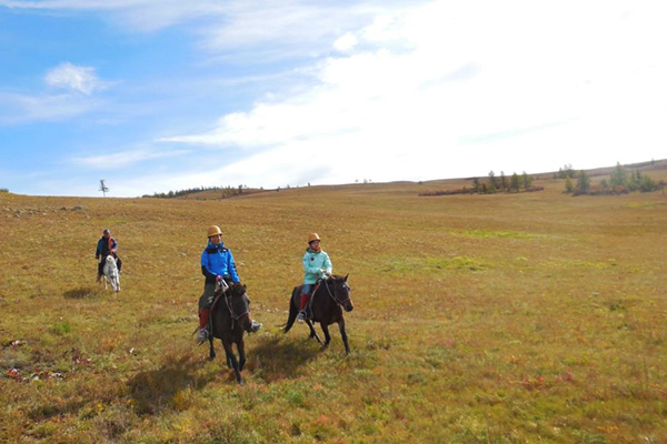 大草原を爆走する！乗馬トレッキングツアー4日〜６日間（テント泊） | ツォクトモンゴル乗馬ツアー