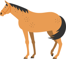 horse-img