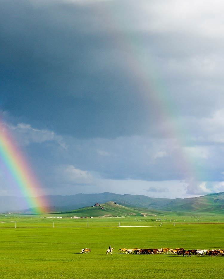 モンゴルの大草原と虹