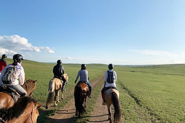 モンゴル草原と馬