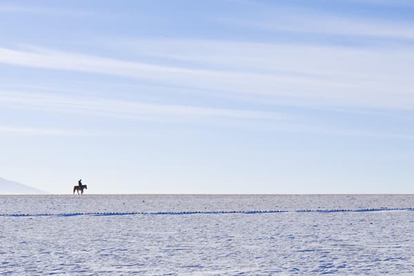 冬の雪原と馬