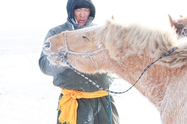冬のモンゴルを体験＆観光！凍った川を超えていく乗馬ツアー（3泊4日〜） | ツォクトモンゴル乗馬ツアー