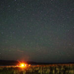 モンゴルの星空