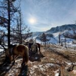 冬の乗馬