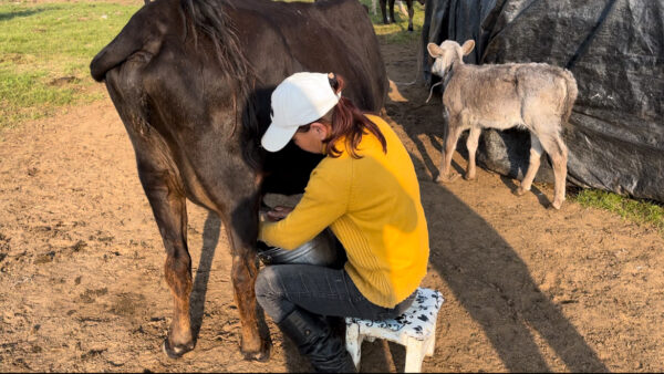 ツアーイメージ