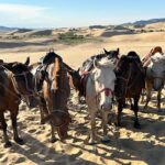 エルスンタサルハイでの乗馬