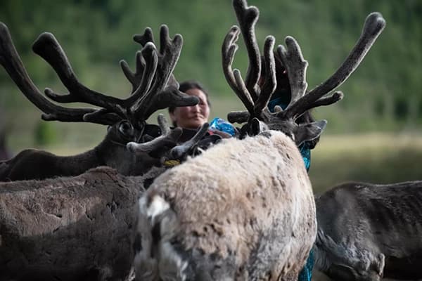 自然と共に生きるツァータンの生活を体験