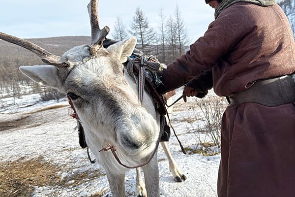 ツアーイメージ