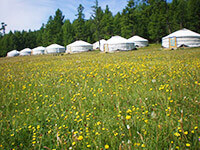 フブスグル湖畔での乗馬