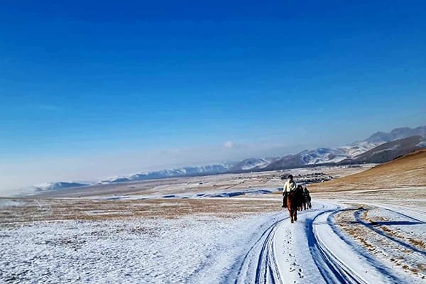 初心者でも安心の乗馬サポート