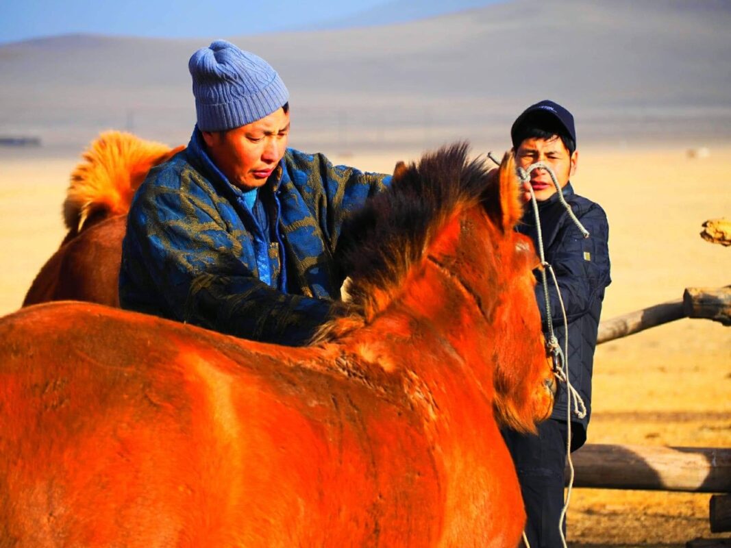 ツアーイメージ