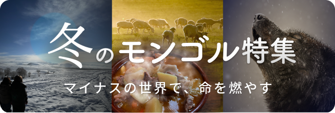 おすすめツアー診断