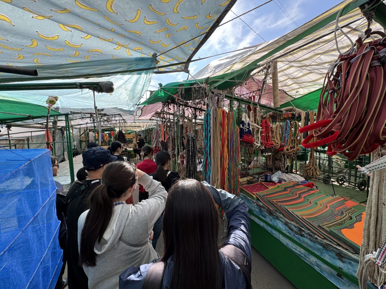 ナラントール市場
